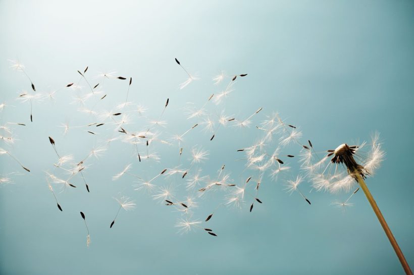 How Is Wind Made? The Science Behind Nature’s Breezes