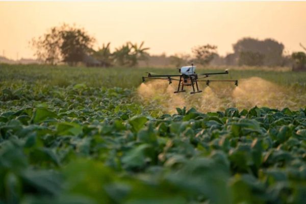 AI-Powered Agriculture, How Smart Farming Is Feeding the Future