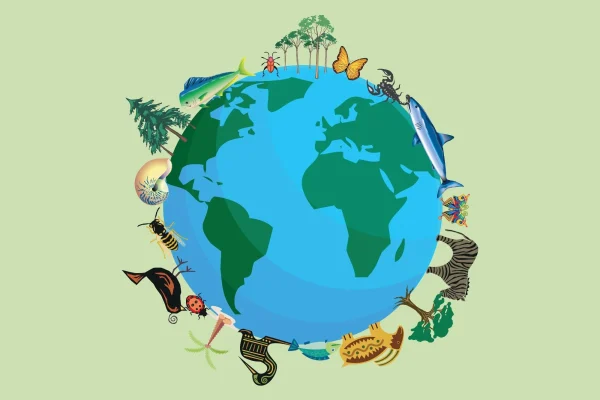 The Importance of Biodiversity Conservation in Ecosystem Health