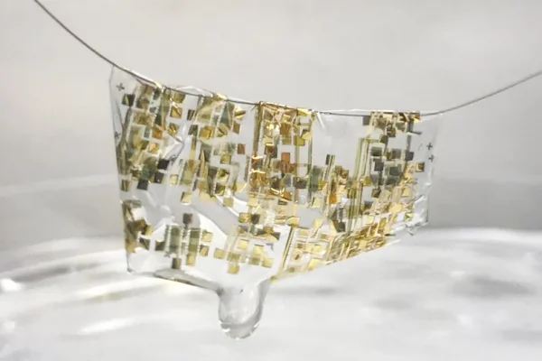 Biodegradable Electronics, The Future of Sustainable Tech