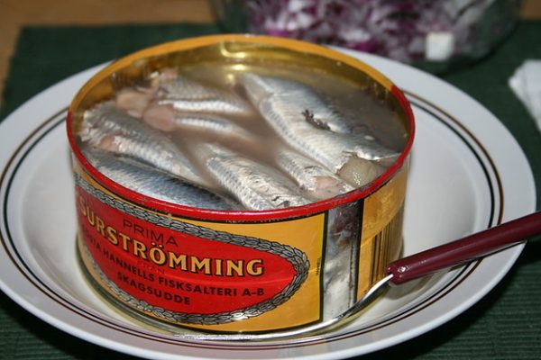 Surströmming, Infamous Sweden’s Fermented Herring Delicacy Unveiled